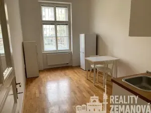 Pronájem bytu 1+1, Praha - Vinohrady, Řipská, 48 m2