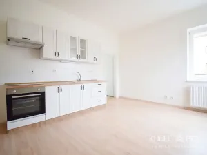 Pronájem bytu 1+1, Tábor, Ojířova, 60 m2