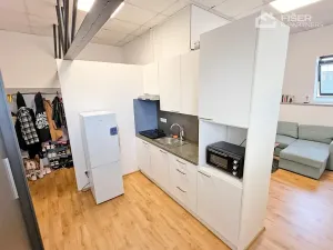 Pronájem bytu 1+kk, Valašské Meziříčí, Křižná, 30 m2