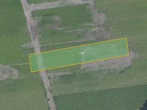 Prodej pole, Liblice, 4833 m2