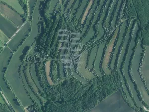 Prodej pole, Boleradice, 21964 m2