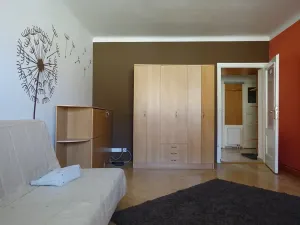 Pronájem bytu 1+1, Brno, Slatinská, 48 m2