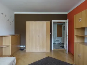 Pronájem bytu 1+1, Brno, Slatinská, 48 m2