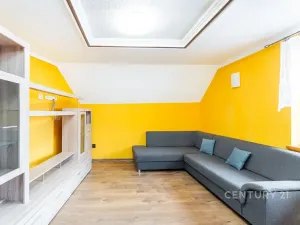 Prodej rodinného domu, Droužkovice, J. Švermy, 229 m2