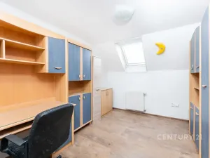 Prodej rodinného domu, Droužkovice, J. Švermy, 229 m2