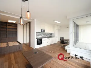 Pronájem bytu 1+kk, Praha - Dejvice, Lindleyova, 59 m2