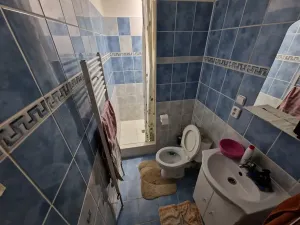 Prodej rodinného domu, Mnichov, 367 m2