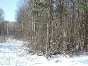 Dražba pozemku, Hamr na Jezeře, 23639 m2
