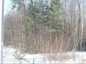 Dražba pozemku, Hamr na Jezeře, 23639 m2