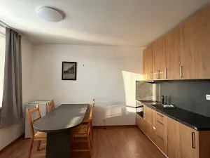 Pronájem bytu 1+1, Brno, Žitná, 35 m2