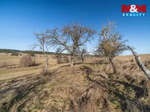 Prodej pozemku, Olbramov - Zádub, 4189 m2