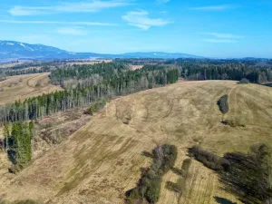 Prodej louky, Hostinné, 102316 m2