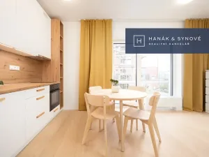 Pronájem bytu 1+kk, Pohořelice, U Kasáren, 30 m2