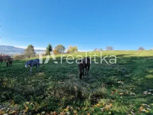 Prodej pozemku pro bydlení, Jablunkov, 1994 m2