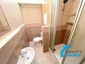 Pronájem bytu 1+1, Děčín, Pražská, 42 m2