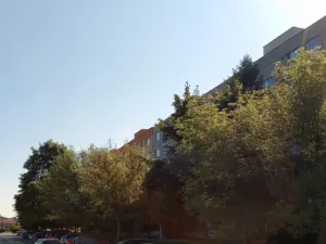 Prodej bytu 3+1, Břeclav, Na Valtické, 69 m2