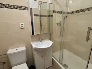 Pronájem bytu 1+1, Praha - Vinohrady, Řipská, 47 m2