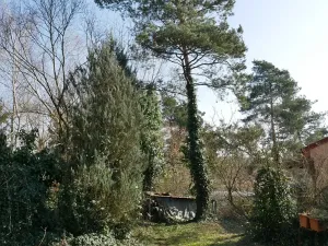 Prodej chaty, Chudíř, 58 m2