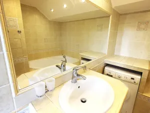 Pronájem bytu 1+kk, Teplice, Alejní, 31 m2