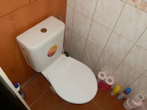 Pronájem bytu 2+1, Prostějov, Boženy Němcové, 64 m2