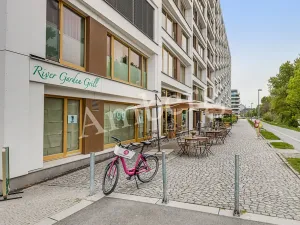 Pronájem bytu 1+kk, Praha - Karlín, U Mlýnského kanálu, 37 m2