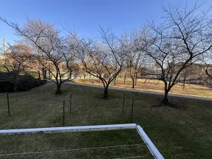 Prodej bytu 2+1, Turnov, Studentská, 54 m2