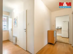 Pronájem bytu 1+1, Bechyně, Na Libuši, 46 m2