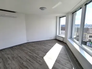 Pronájem bytu 1+kk, Plzeň, Železniční, 43 m2
