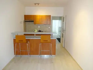 Pronájem bytu 1+1, Brno, Metodějova, 45 m2