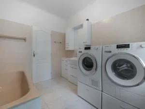 Prodej rodinného domu, Družec, V Zátiší, 289 m2