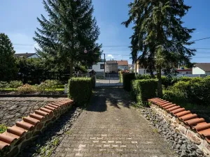 Prodej rodinného domu, Družec, V Zátiší, 289 m2