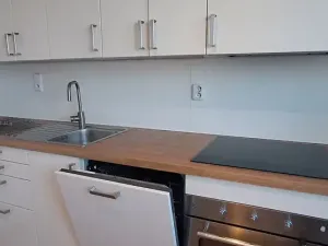 Pronájem bytu 1+1, Brno, Srbská, 35 m2