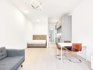 Prodej bytu 1+kk, Praha - Žižkov, Hartigova, 45 m2