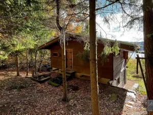 Prodej chaty, Orlík nad Vltavou, 88 m2