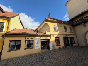 Prodej obchodního prostoru, Pelhřimov, 342 m2