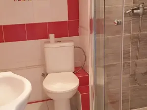 Pronájem bytu 1+1, Teplice, Javorová, 45 m2