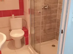 Pronájem bytu 1+1, Teplice, Javorová, 45 m2