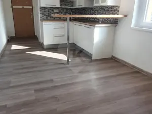 Pronájem bytu 1+kk, Praha - Černý Most, Bryksova, 19 m2