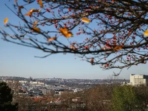 Prodej bytu 2+kk, Praha - Žižkov, Jana Želivského, 50 m2