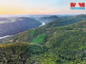 Prodej lesa, Ústí nad Labem - Severní Terasa, 23067 m2