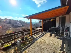 Prodej rodinného domu, Větrušice, Chaloupky, 50 m2