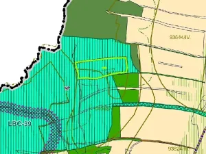 Dražba louky, Petrovice, 14239 m2