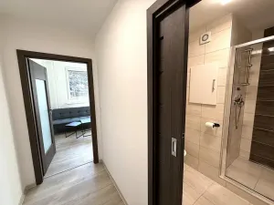 Pronájem bytu 1+1, Brno, Prokofjevova, 36 m2