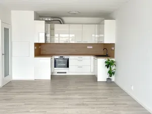 Pronájem bytu 3+kk, Brno, Střední, 107 m2