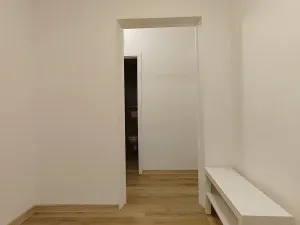 Pronájem bytu 1+1, Most, Brněnská, 38 m2