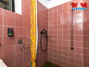 Prodej chalupy, Slavíkov - Dlouhý, 90 m2