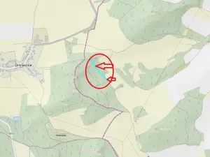 Prodej lesa, Dolany, 3023 m2