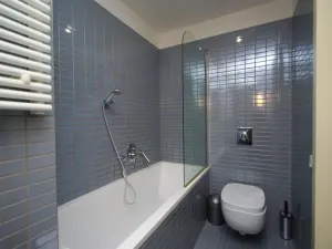 Pronájem bytu 2+kk, Praha - Žižkov, Prokopova, 58 m2