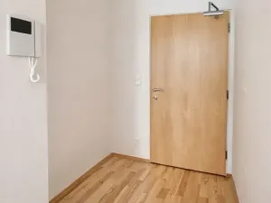 Prodej bytu 2+kk, Praha - Žižkov, Ke kapslovně, 58 m2