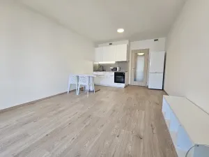 Pronájem bytu 1+kk, Praha - Hloubětín, Poděbradská, 33 m2